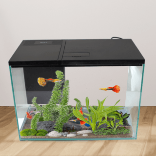 BOYU ชุดAquariumตู้ปลาพร้อมระบบกรองน้ำ รุ่นGR 2 ขนาดตู้30ลิตร ก10ย18ส13นิ้ว สีดำ