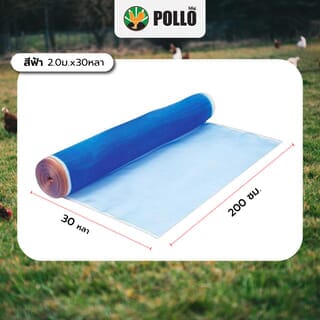 POLLO มุ้งไนล่อน 2.0ม. X30หลา สีฟ้า
