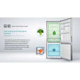 HISENSE ตู้เย็น 2 ประตู ขนาด 14.7 คิว รุ่น RB556N4TGN สีเงิน