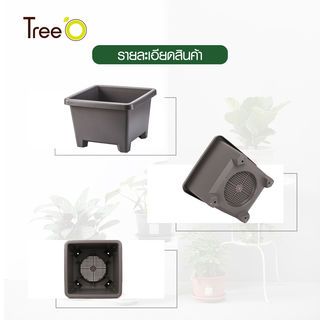 Tree  O กระถางต้นไม้ รุ่น 6PY008-GY ขนาด 27.6 x 27.6 x 19 ซม. (12นิ้ว) สีเทา