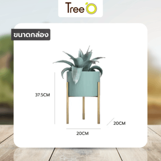 DELICATO ชั้นวางกระถางต้นไม้ รุ่น TY01GN  ขนาด 20x20x37.5ซม. สีเขียว