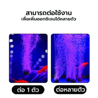 BOYU ปั๊มออกซิเจน รุ่นSES-60 ขนาด35W Qmax60L/H สีดำ