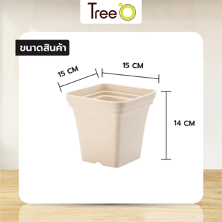 Tree  O กระถางต้นไม้ รุ่น 6PY022-BE ขนาด 15 x 15 x 14 ซม. (6นิ้ว) สีน้ำตาลอ่อน