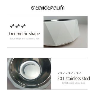 DUDUPETS ชามอาหารสัตว์เลี้ยงสเตนเลส 18.5x7.2ซม. รุ่น COCHO-07 สีขาว