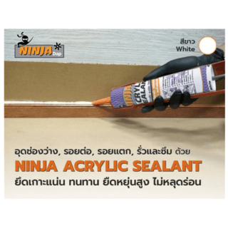 BESBOND นินจาแด๊ป อะคริลิค ซีลแลนท์ 450 กรัม สีขาว
