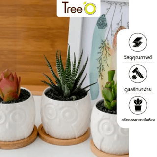 Tree’O กระถางเซรามิก นกฮูกพร้อมจานรอง รุ่น 4LY-003 สีขาว