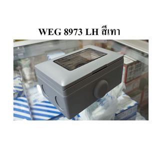 Panasonic ฝากันน้ำแนวนอน (แบบลอย) WEG 8973LH สีเทา