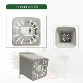 Tree’ O กระถางต้นไม้ รุ่น 6PY022-BE ขนาด 15 x 15 x 14 ซม. (6นิ้ว) สีน้ำตาลอ่อน