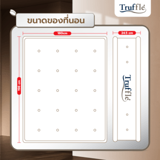 Truffle ที่นอน Pocket Spring รุ่น Amerzaa 6ฟุต หนา10