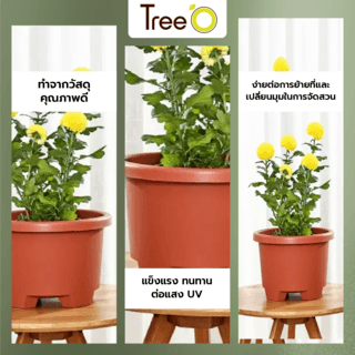 Tree  O กระถางต้นไม้ รุ่น 6PY007-GY ขนาด 27 x 27 x 18.5 ซม. (12นิ้ว) สี แดงอิฐ