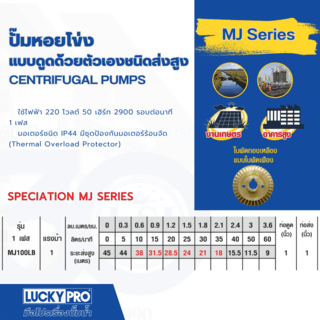 LUCKY PRO ปั๊มดูดน้ำด้วยตัวเอง 1