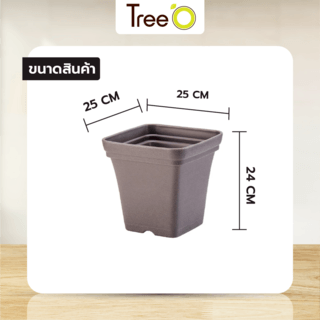 Tree  O กระถางต้นไม้ รุ่น 6PY024-GY ขนาด 25 x 25 x 24 ซม. (10นิ้ว) สีเทา