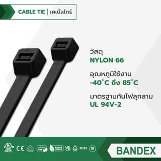 BANDEX เคเบิ้ลไทร์ ขนาด 3 นิ้ว รุ่น CT075B-2C-MT100 สีดำ