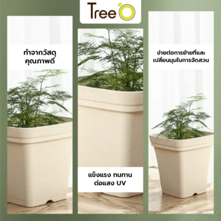 Tree’ O กระถางต้นไม้ รุ่น 6PY022-BE ขนาด 15 x 15 x 14 ซม. (6นิ้ว) สีน้ำตาลอ่อน