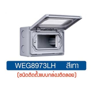 Panasonic ฝากันน้ำแนวนอน (แบบลอย) WEG 8973LH สีเทา