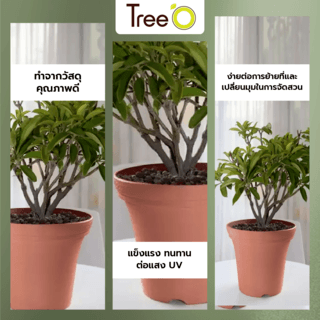Tree  O กระถางต้นไม้ รุ่น 6PY020-RD ขนาด 30 x 30 x 24 ซม. (12นิ้ว) สีแดง