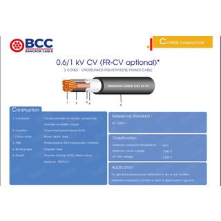 BCC สายไฟ kV CV 3x2.5 ตร.มม. 100 m. สีดำ
