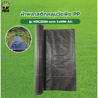 POLLO ผ้าพลาสติกคลุมวัชพืช PP รุ่นWDC250M ขนาด 2x50M สีดำ