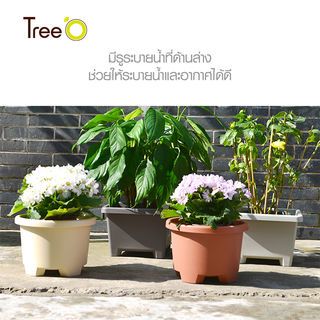 Tree  O กระถางต้นไม้ รุ่น 6PY008-GY ขนาด 27.6 x 27.6 x 19 ซม. (12นิ้ว) สีเทา