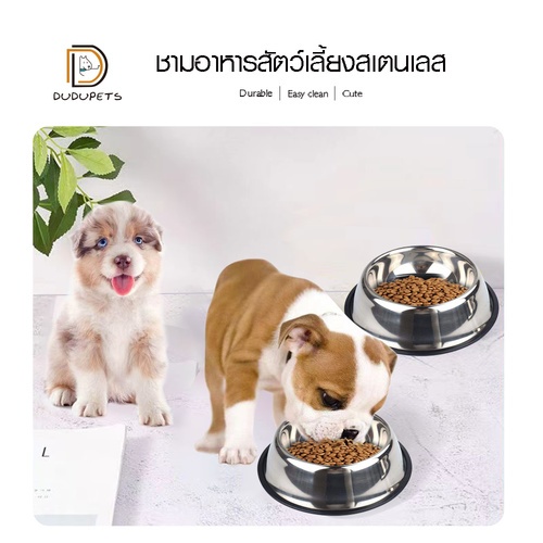 DUDUPETS ชามอาหารสัตว์เลี้ยงสเตนเลส 16x21.5x5ซม. รุ่น COCHO-09