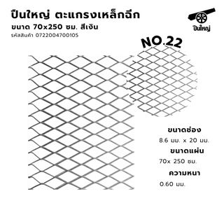 ปืนใหญ่ ตะแกรงเหล็กฉีก No.22 ขนาด 70 x 250 ซม สีเงิน