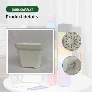 Tree O กระถางต้นไม้ รุ่น HYF002 ขนาด 10*10*8.5 ซม. คละสี