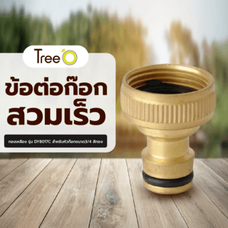 Tree’O Plus  ข้อต่อก๊อกสวมเร็ว ทองเหลือง รุ่น DY8017C สำหรับหัวก๊อกขนาด3/4 สีทอง