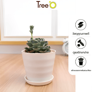 Tree‘O กระถางต้นไม้ทรงกลม  รุ่น6PY009-BE ขนาด15x16ซม. (6นิ้ว) สีน้ำตาลอ่อน