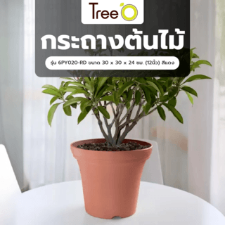 Tree  O กระถางต้นไม้ รุ่น 6PY020-RD ขนาด 30 x 30 x 24 ซม. (12นิ้ว) สีแดง
