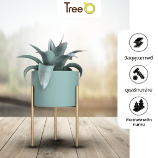 DELICATO ชั้นวางกระถางต้นไม้ รุ่น TY01GN  ขนาด 20x20x37.5ซม. สีเขียว