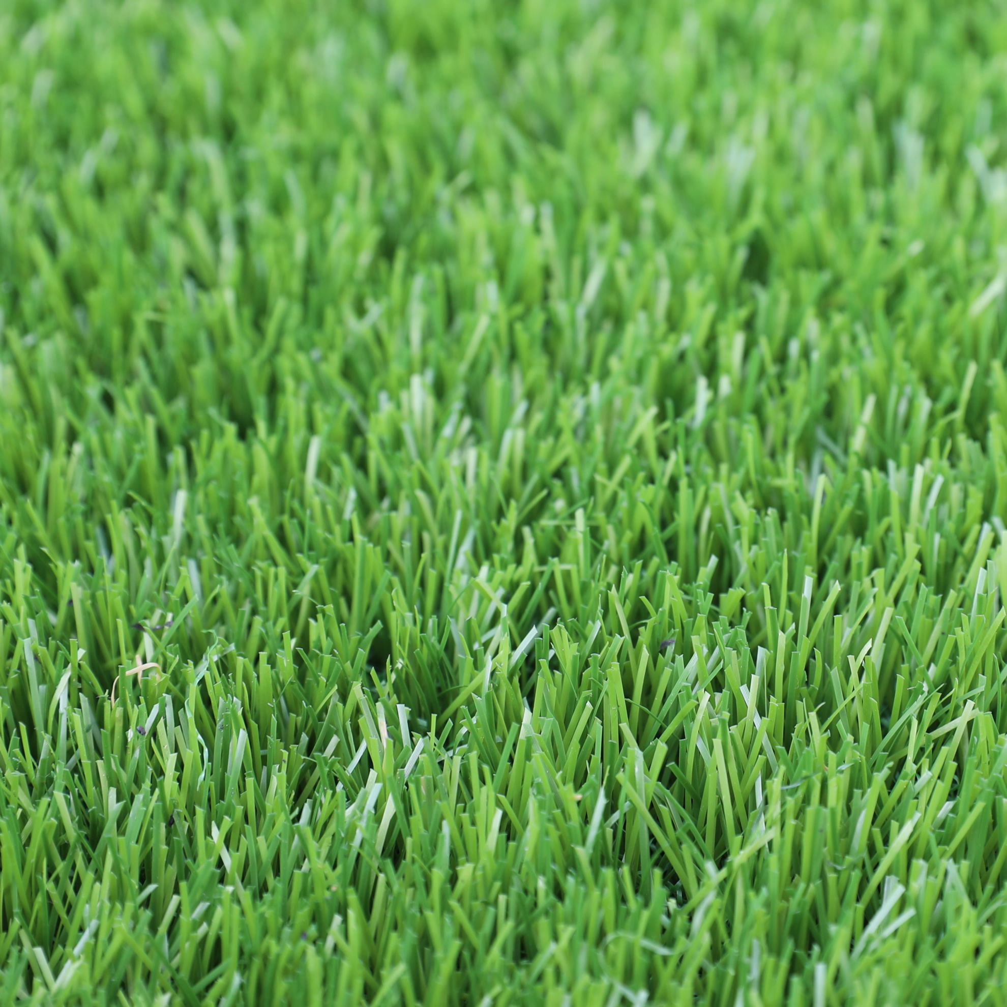 Tree’O หญ้าเทียม ขนหญ้ายาว 40มม. ขนาด 2x5M รุ่น BNL402180088-53110 สีเขียว 3 โทนสี