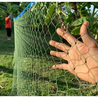 POLLO ตาข่ายไนล่อนเขียว รุ่น 301710M ขนาดตา 3นิ้ว 1.7X10เมตร สีเขียว