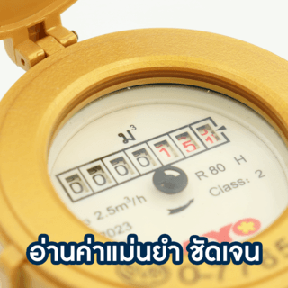 TAYO มิเตอร์น้ำ 1/2นิ้ว  ABS รุ่น MSP15 สีทอง