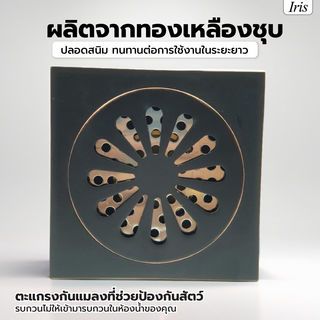 Iris ตะแกรงกันกลิ่น-กันแมลงทองเหลืองชุบ รุ่น BLj-8821   สีดำแมท