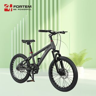 FORTEM จักรยานเด็กเสือภูเขา รุ่น Luna-02 ขนาด 20 นิ้ว  สีเทา