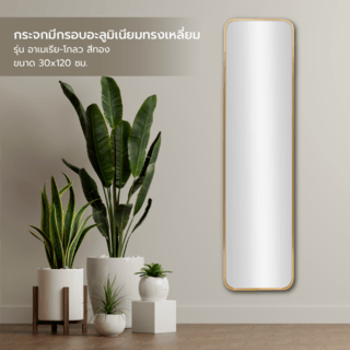 Nice กระจกมีกรอบอะลูมิเนียมทรงเหลี่ยม รุ่น อาเมเรีย-โกลว ขนาด 30x120 ซม. สีทอง 