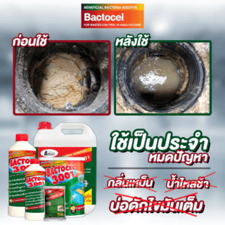 BACTOCEL จุลินทรีย์สลายไขมัน (ชนิดน้ำ) ขนาด 300 ซีซี รุ่น 3001