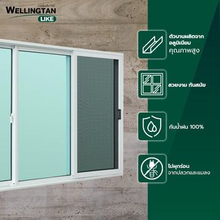 WELLINGTAN (LIKE) หน้าต่างอะลูมิเนียม บานเลื่อน SFS 180x110ซม. สีขาว พร้อมมุ้ง