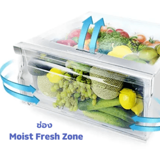 SAMSUNG ตู้เย็น 2 ประตู 9.1 คิว RT25FGRADSA/ST เงิน