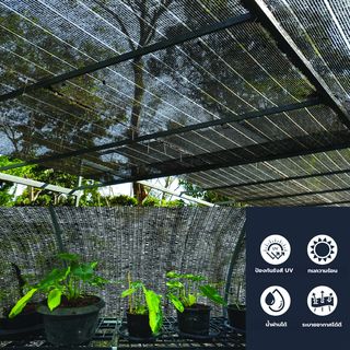 POLLO สแลน HDPE 80% รุ่นSH1101-65  ขนาด2X100M 80%(หนึ่งเข็ม) สีดำ