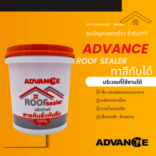 Advance สารกันรั่วกันซึม  500 ก.
