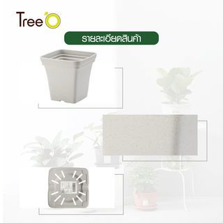 Tree’ O กระถางต้นไม้ รุ่น 6PY022-WH ขนาด 15 x 15 x 14 ซม. (6นิ้ว) สีขาว
