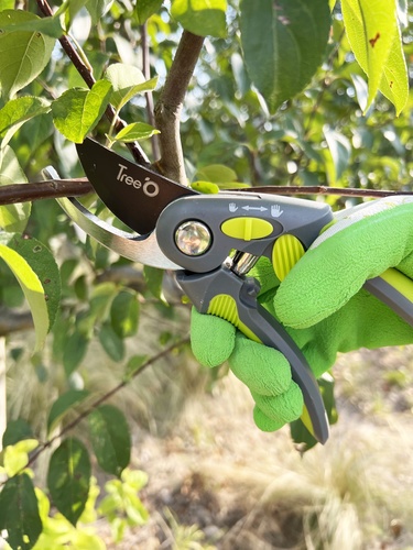 Tree’O กรรไกรตัดกิ่งปากตรง รุ่นGP2128 ขนาด8นิ้ว สีเขียว