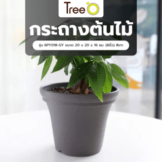 Tree  O กระถางต้นไม้ รุ่น 6PY018-GY ขนาด 20 x 20 x 16 ซม. (8นิ้ว) สีเทา