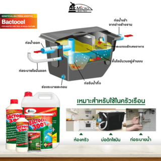 BACTOCEL จุลินทรีย์สลายไขมัน (ชนิดน้ำ) ขนาด 300 ซีซี รุ่น 3001
