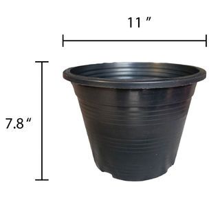 fds