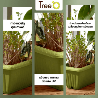 Tree‘O กระถางต้นไม้ทรงสี่เหลี่ยมผืนผ้า รุ่น6PY026-GN ขนาด20x37x15ซม.(8นิ้ว) สีเขียว