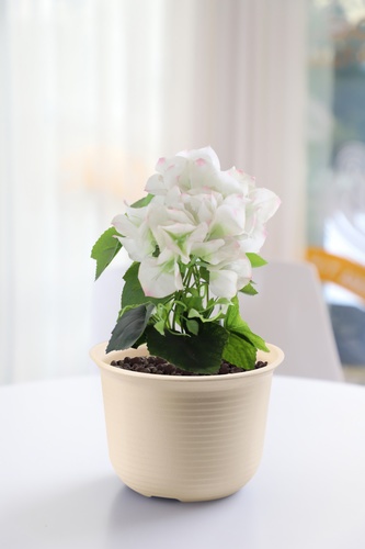 Tree O กระถางต้นไม้ทรงกลม รุ่น 6PY002-BE ขนาด19X13ซม. (8นิ้ว) สีน้ำตาลอ่อน